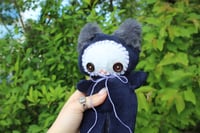 Image 7 of Baby button kitty 🧶🩷🐾