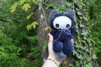 Image 1 of Baby button kitty 🧶🩷🐾