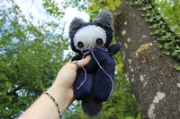 Image 3 of Baby button kitty 🧶🩷🐾