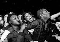 Image 18 of CAFE ROYAL Punk Books back catalogue: Baker/Beckman/ Shelton and more