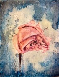 Untitled (Rose)