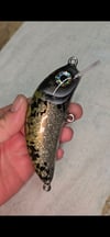 4.5" Twitch in Crappie 