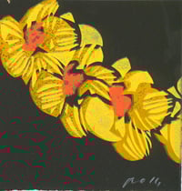 #26 Yellow Orchid I