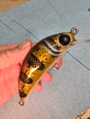 4.5" Twitch in WalleyeFinger