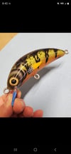 4.5" Twitch Glitter Firetiger 