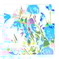 #74 Flowers II