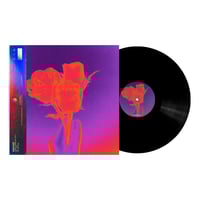 CHAIN GANG OF 1974 - "BESIDES/POLLEN" VINYL