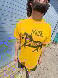Image 1 of A horse drawing