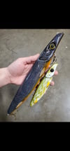 14" WobbleHog in glitter sucker 