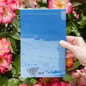 Hold That Line!: Drawing Blood on the Waterfront