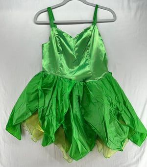 Image of Fairy Costume Adult M