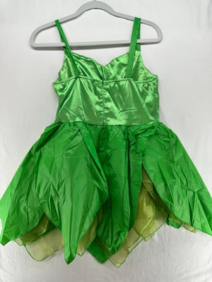 Image of Fairy Costume Adult M