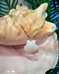 Image 1 of White Scallop Shell Necklace N165