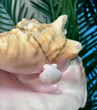 Image 2 of White Scallop Shell Necklace N165
