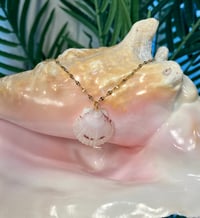 Image 1 of White Scallop Shell Necklace N166