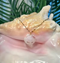 Image 2 of White Scallop Shell Necklace N166