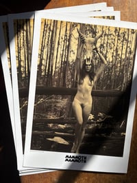 Hell's Likely Limited Edition A3 print (Skull)