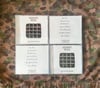 Prison Hell - Sex Penitentiary CD