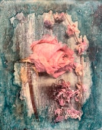 Untitled (Rose 2)