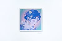 [pop-store] Vine