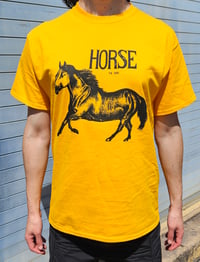 Image 2 of A horse drawing