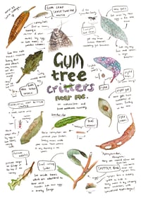 Gum tree Critters