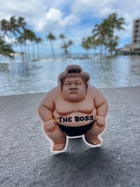Image 1 of Hero Sumo