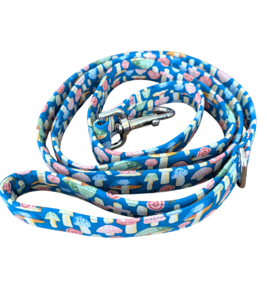 Image of Leash Collection (H-M)