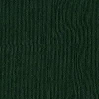 Aspen Mono 12" x 12" Cardstock