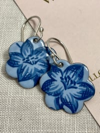 Image 2 of Blue Bellflower 