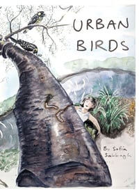 Image 1 of Urban Birds