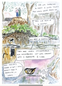 Image 2 of Urban Birds