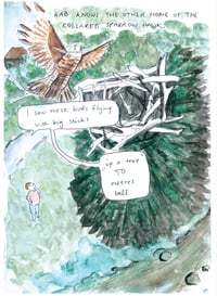 Image 3 of Urban Birds