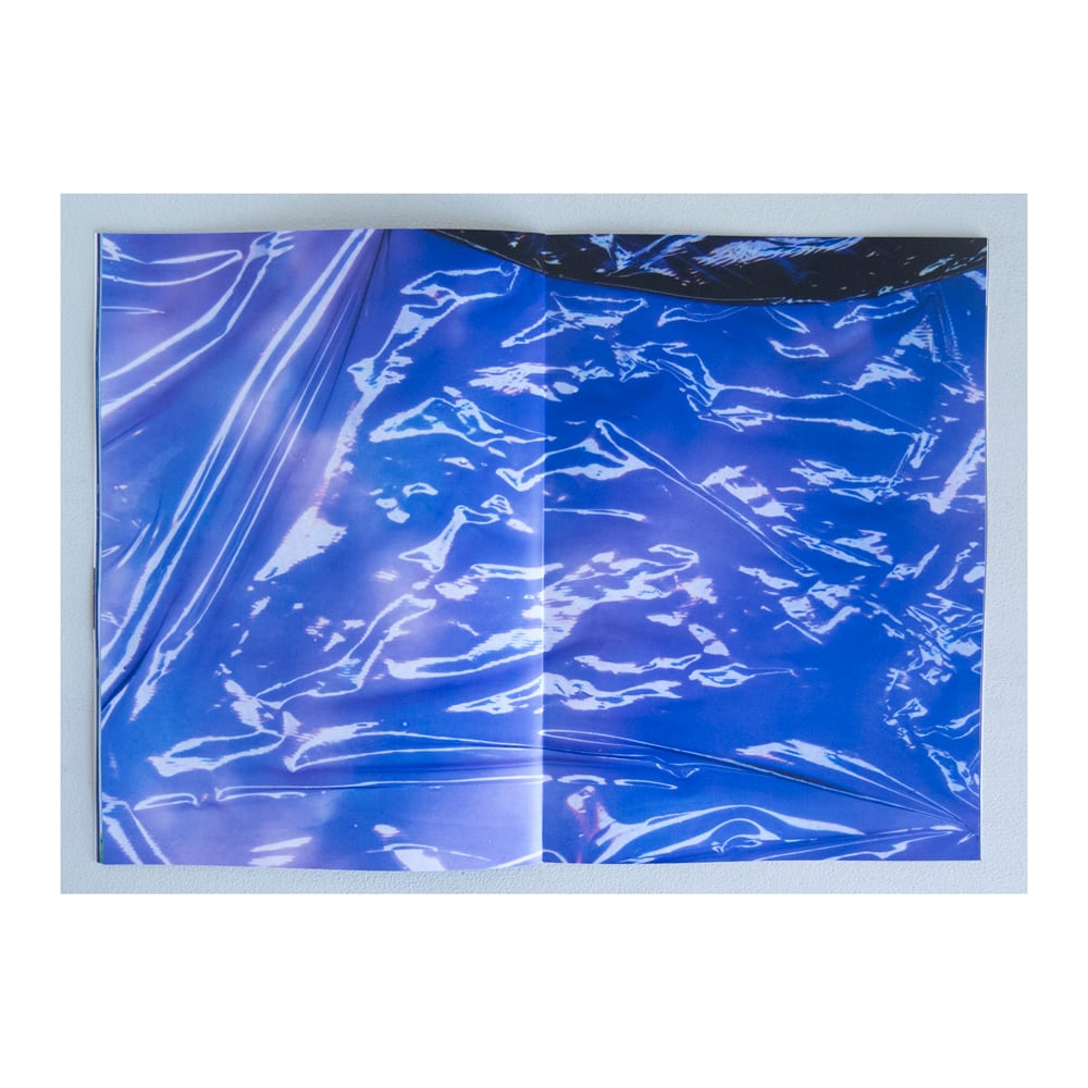Image of Plastic Particles In My Testicles, Roelof Bakker