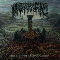 Image 2 of Morbific  - "Bloom of the Abnormal Flesh" CD