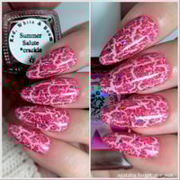 Image 10 of Summer Salute