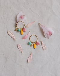 Image 1 of Pack Aros Mimosa