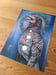 Image of Rook - Corvid Print 4