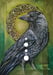 Image of Jackdaw - Corvid Print 3