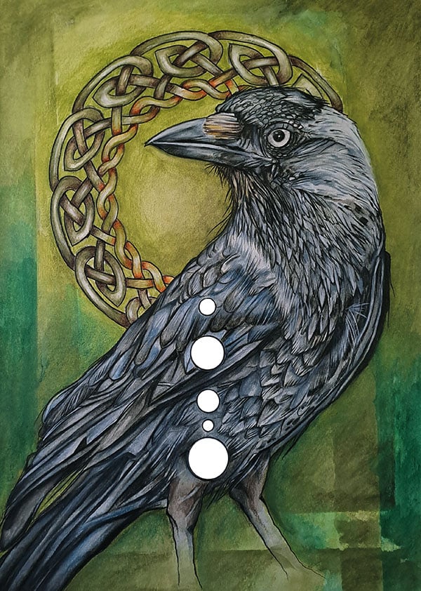 Image of Jackdaw - Corvid Print 3