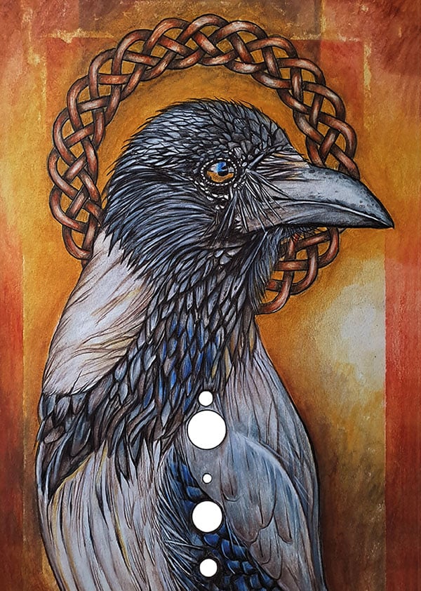 Image of Hooded Crow - Corvid Print 2