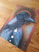 Image of Hooded Crow - Corvid Print 2