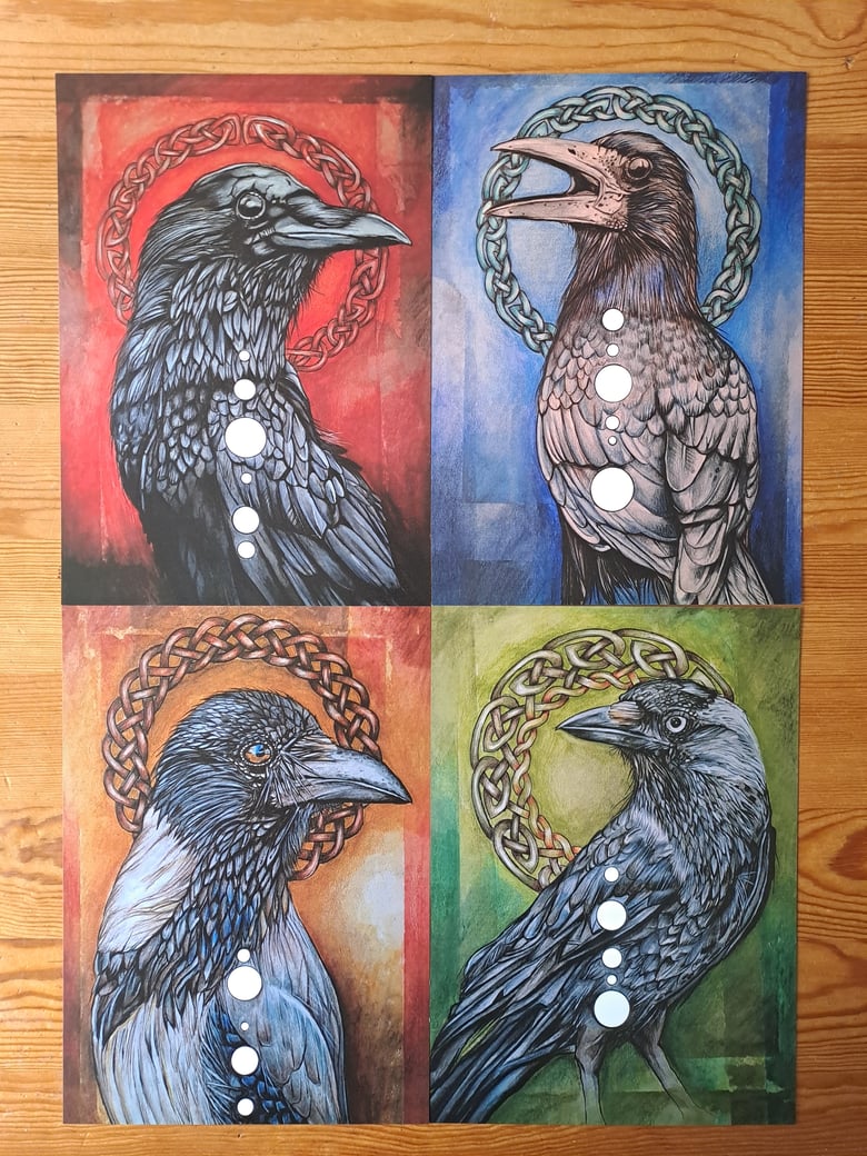 Image of Corvid Print Set - Rook, Raven, Hooded Crow & Jackdaw.