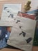 Image of Corvid Print Set - Rook, Raven, Hooded Crow & Jackdaw.