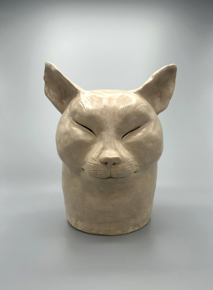Image of El Gato Chimney - The sleepy cat