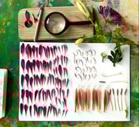 Image 14 of Flora Obscura ONLINE