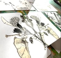 Image 15 of Flora Obscura ONLINE