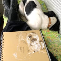 Image 6 of Draw-Sleep-Draw ONLINE