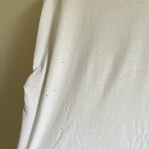 Image of KCRW 89.9 FM 'Diving' T-Shirt