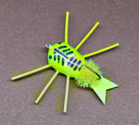 Image of Composite Disk Bug Kit